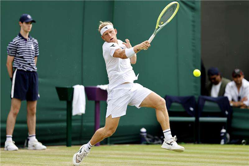 دافيدوفيتش