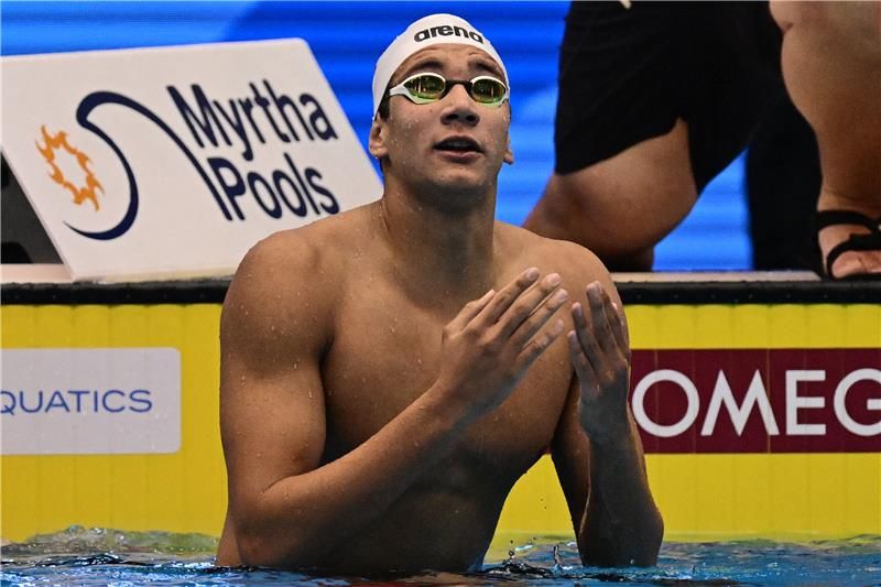 أحمد الحفناوي