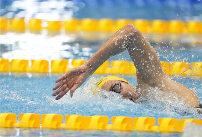 كايل تشالمرز