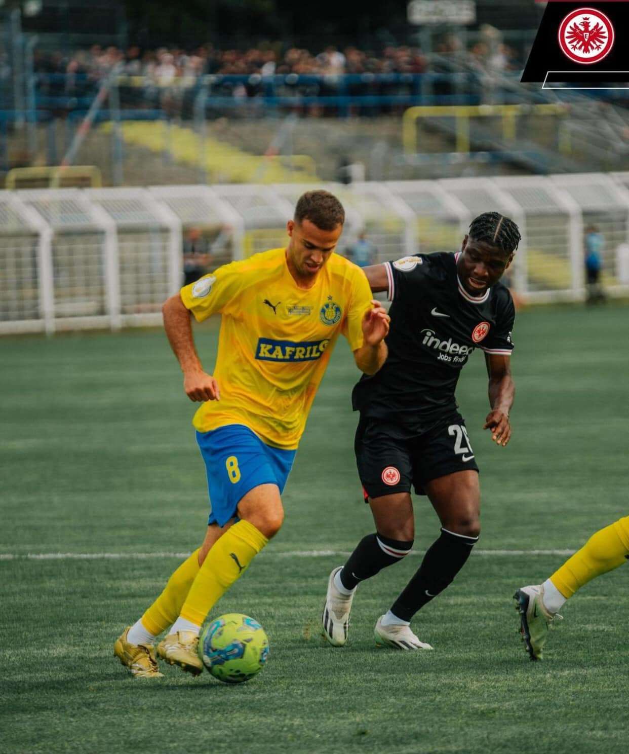 من المواجهة