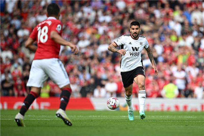 ألكسندر ميتروفيتش