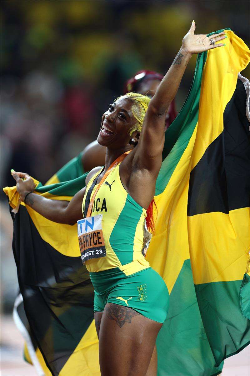 فريزر برايس