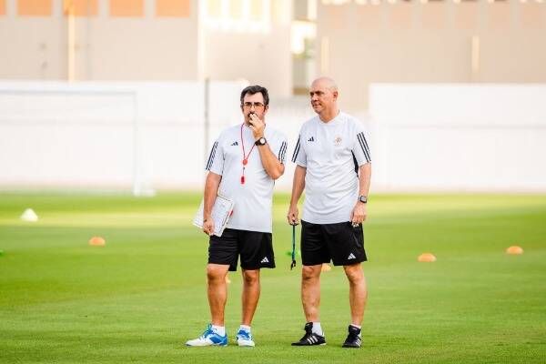 كايو زاناردي