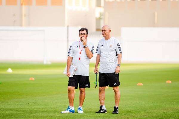 كايو زاناردي