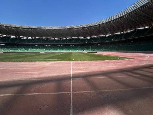 ملعب جذع النخلة