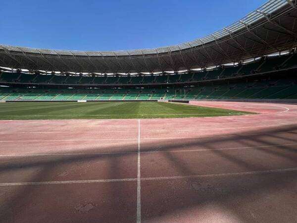 ملعب جذع النخلة