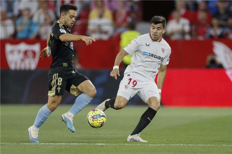 ماركوس أكونيا