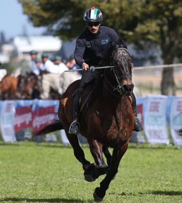 من المشاركة الأردنية