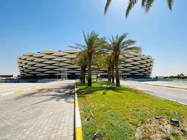 ملعب جذع النخلة