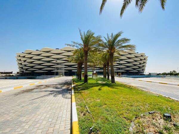 ملعب جذع النخلة