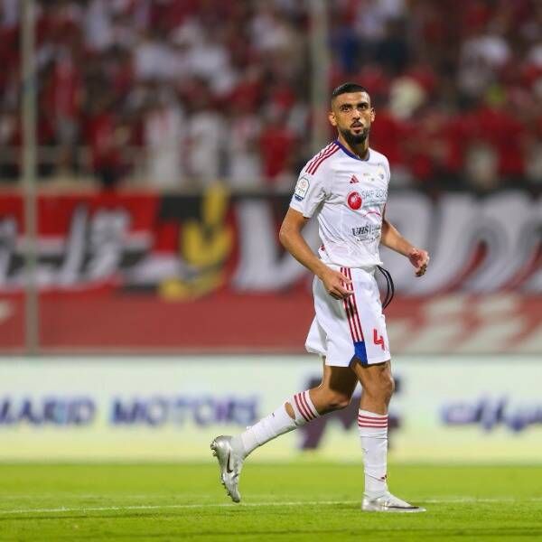 شاهين عبد الرحمن