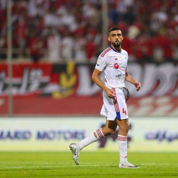 شاهين عبد الرحمن