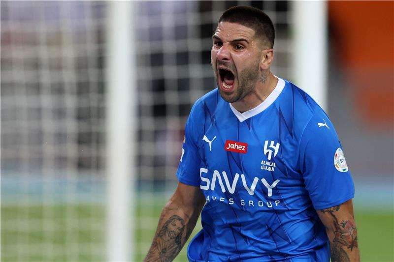 ألكسندر ميتروفيتش