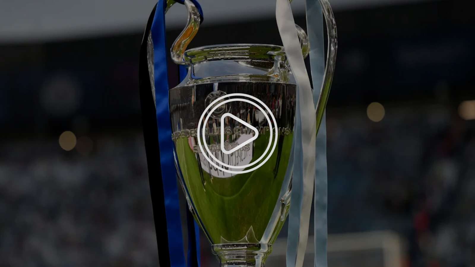 371257413_1767991653654183_7291036283632401844_n