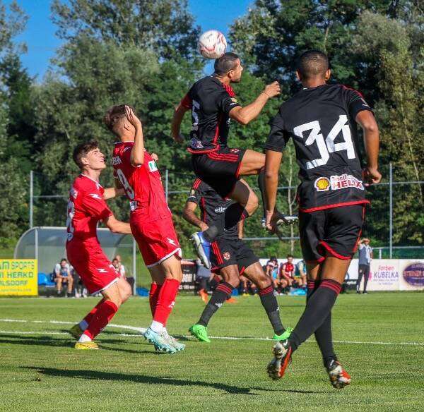 الأهلي وألوميني