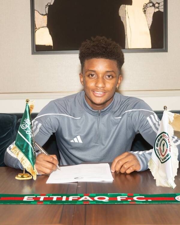 ديماراي جراي