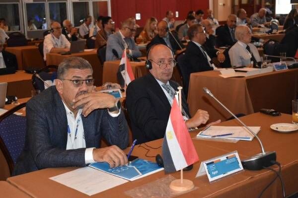 المهندس شريف العريان