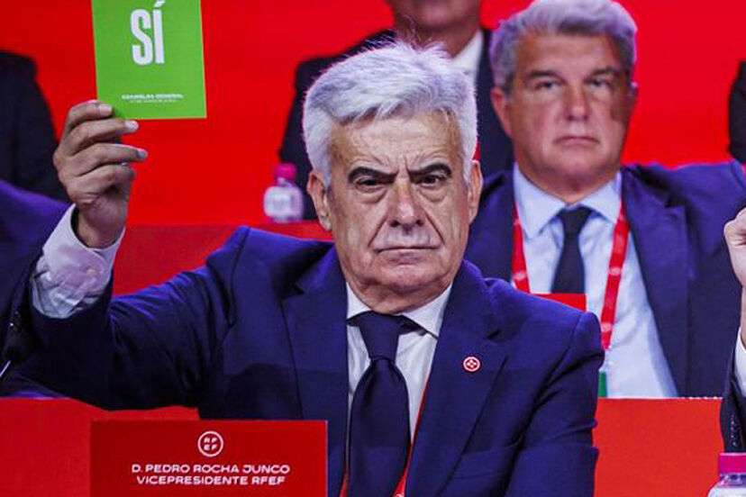 بيدرو روتشا