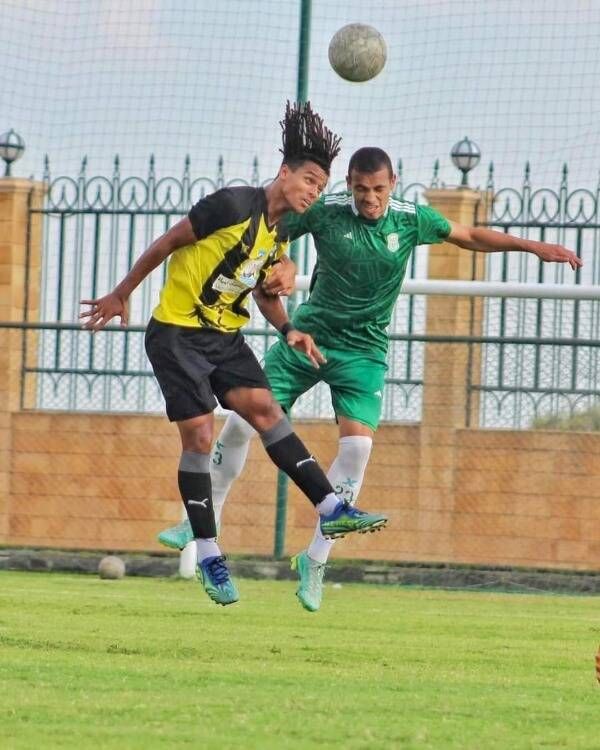 الحبيب البنداري