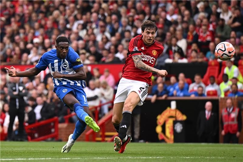 داني ويلبيك