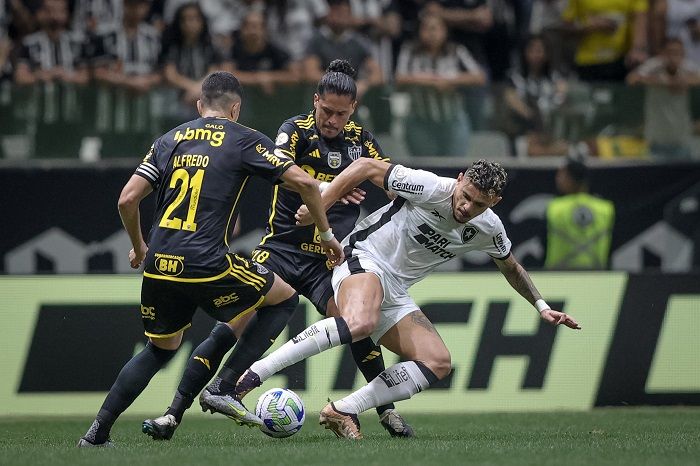 Mineiro%20Botafogo4