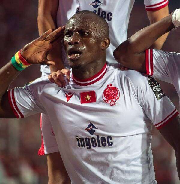 سامبو جونيور