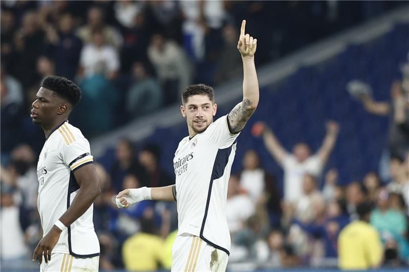 فيدي فالفيردي