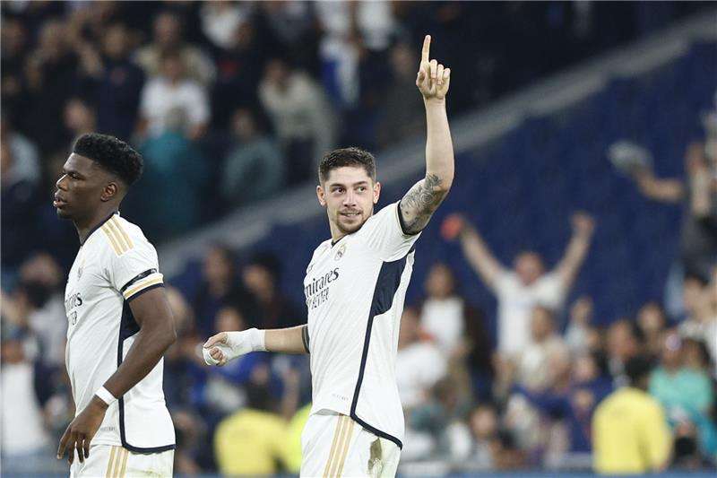 فيدي فالفيردي