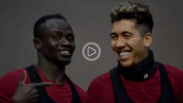 فيرمينو وماني