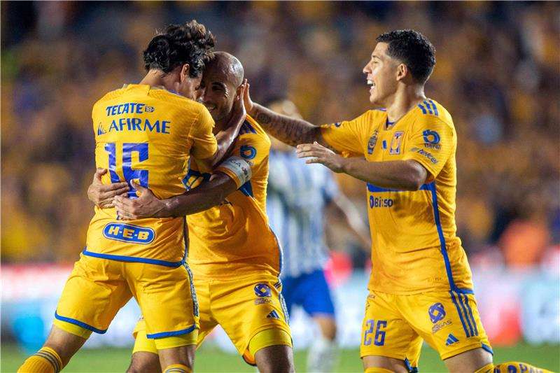 لاعبو تيجريس