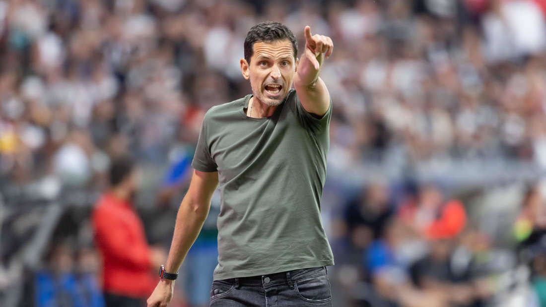 دينو توبمولر