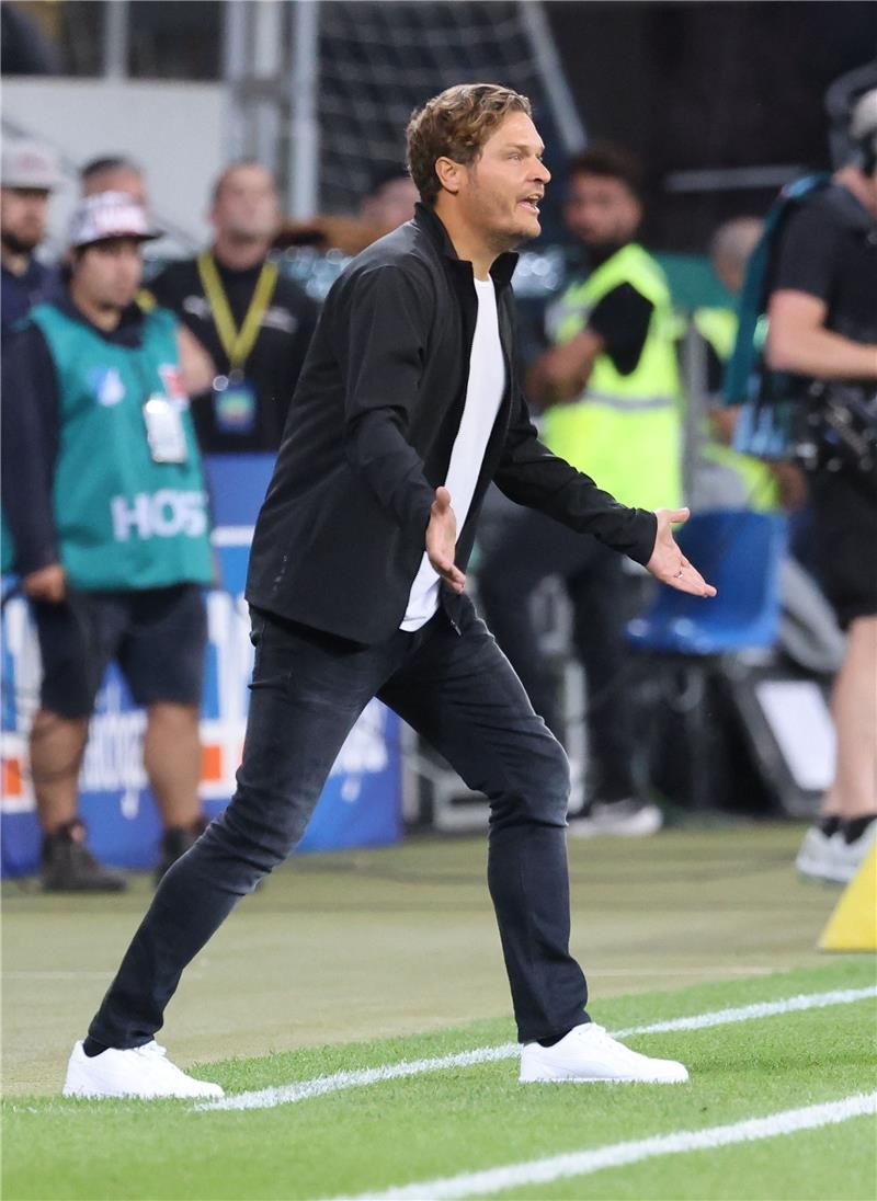 إيدين تيرزيتش