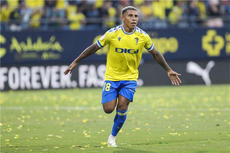 داروين ماتشيس