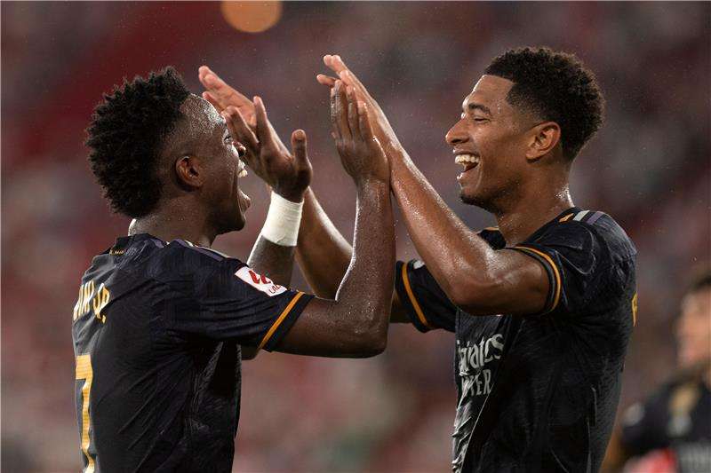 بيلينجهام وفينيسيوس