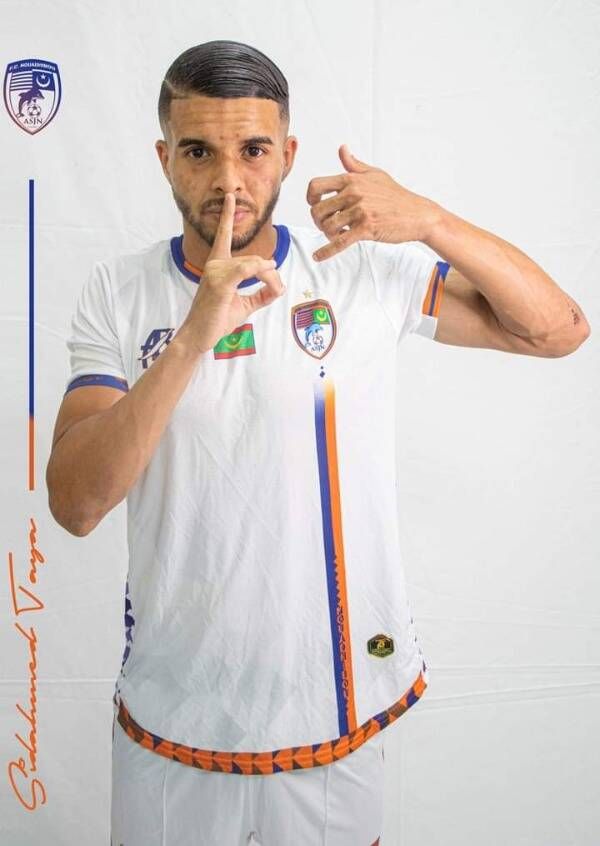 سيد أحمد الطايع