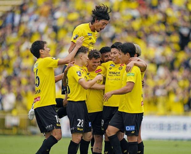 كاشيوا ريسول