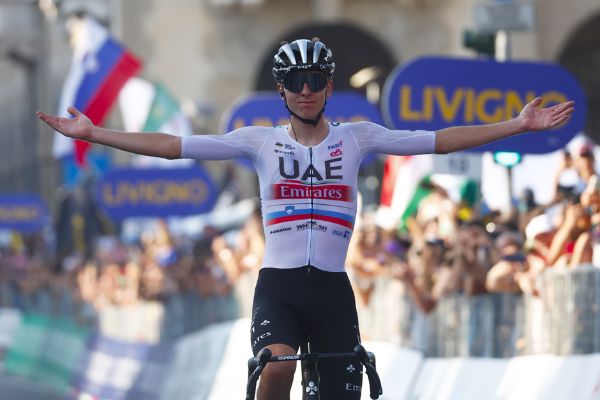 تادي بوجاتشار