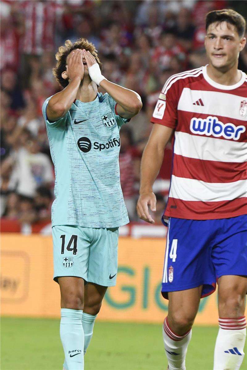 جواو فيليكس