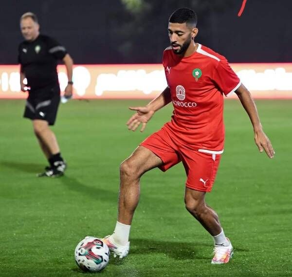 طارق تيسودالي