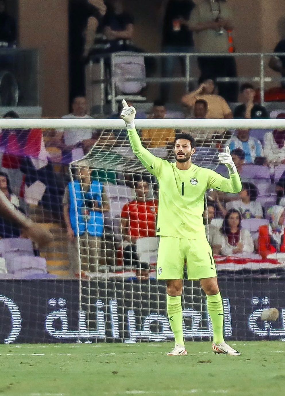 محمد الشناوي