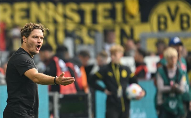 إيدين تيرزيتش