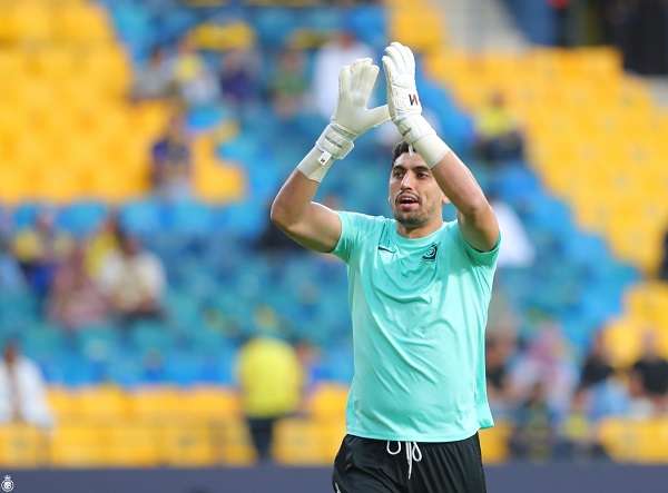 راغد النجار