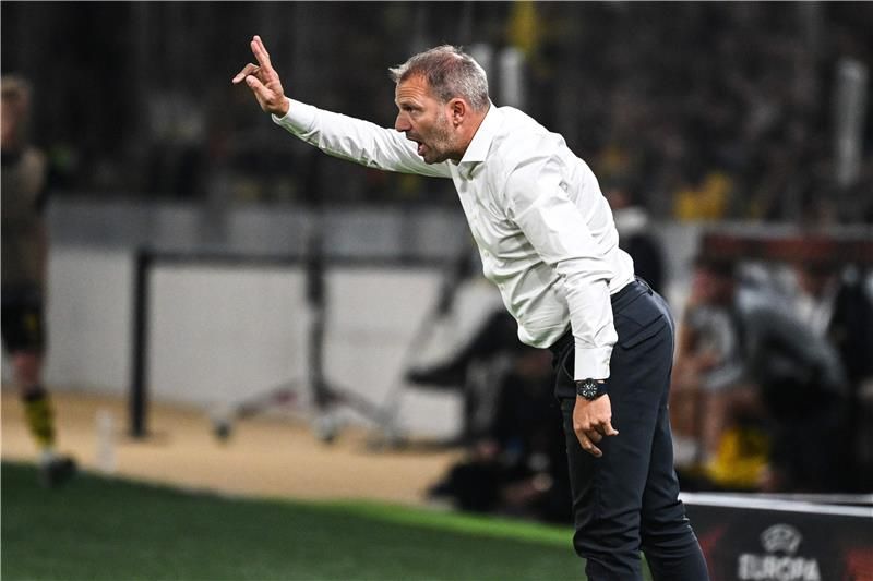 موريس ستاين