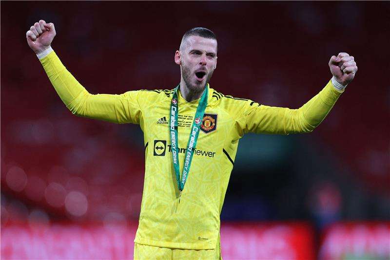 دافيد دي خيا