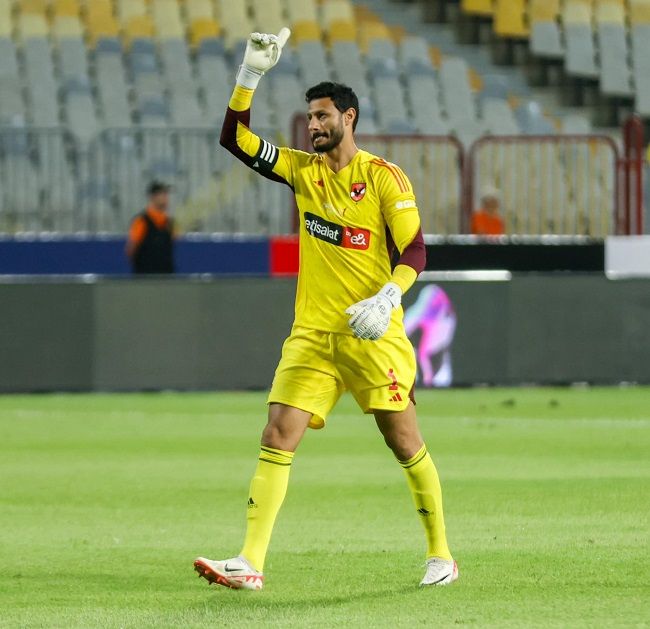 محمد الشناوي