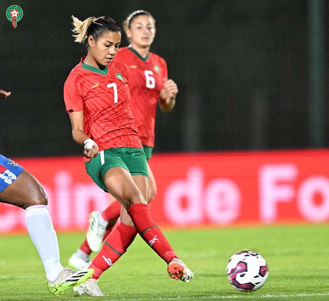 غزلان الشباك