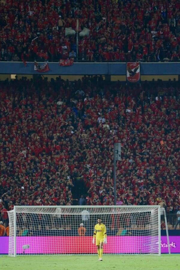 محمد الشناوي