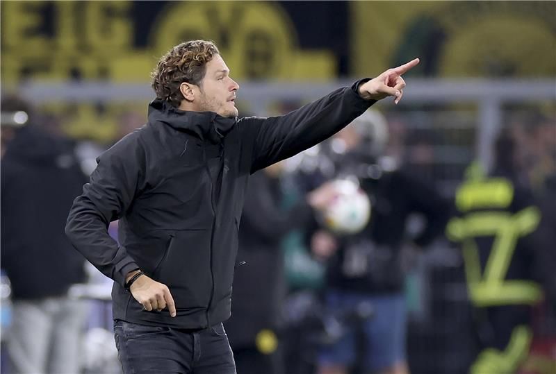 إيدين تيرزيتش