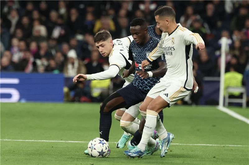 فيدي فالفيردي