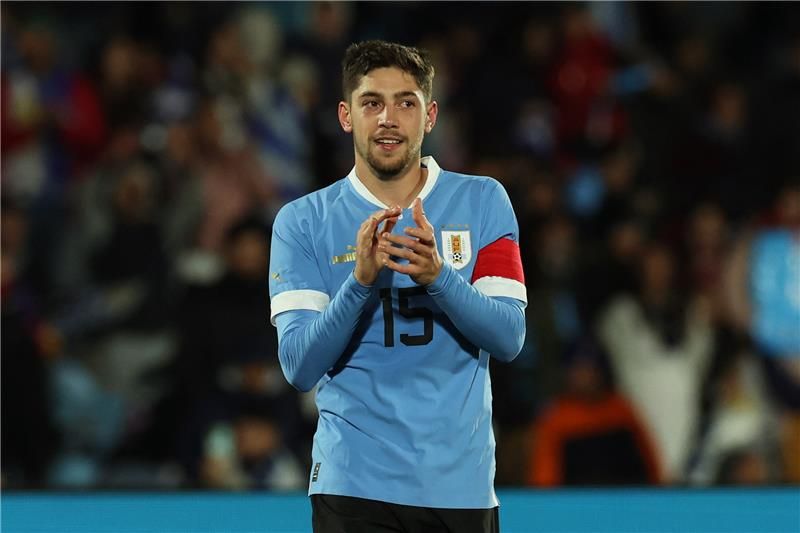 فيدريكو فالفيردي